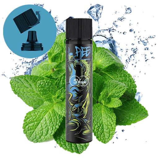 Ruok disposable pods 8000 puff - cool mint - ( rechargeable )