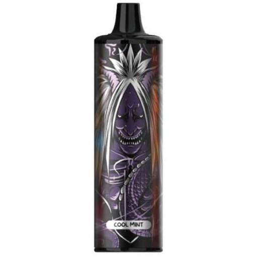 Energy disposable pods 8000 puff - cool mint - ( rechargeable )