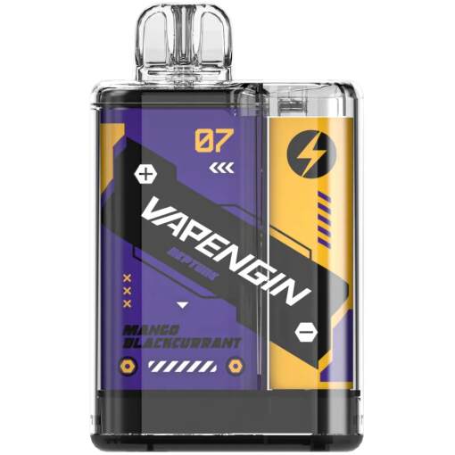 Vapengin 8000 puff - mango blackcurrant - ( rechargeable )