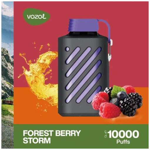 Vozol disposable 10000 puff - forest berry storm - ( rechargeable )