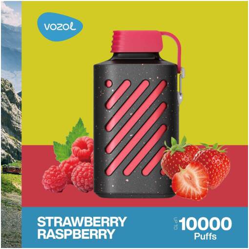 Vozol disposable 10000 puff - strawberry raspberry - ( rechargeable )