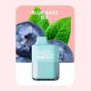 Vozol Disposable 5000 puff - Blue Razz Ice - ( RECHARGEABLE )