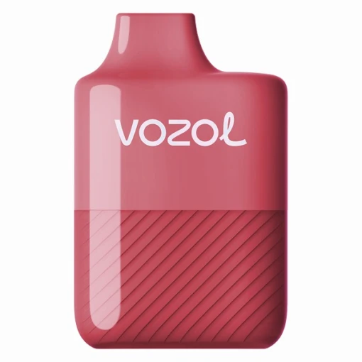 Vozol disposable 3000 puff - strawberry mint