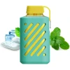 Vozol Disposable 10000 puff - Miami Mint - ( RECHARGEABLE )