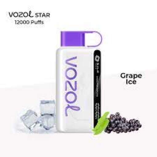 Vozol star 12000 puff disposable - grape ice - ( rechargeable )
