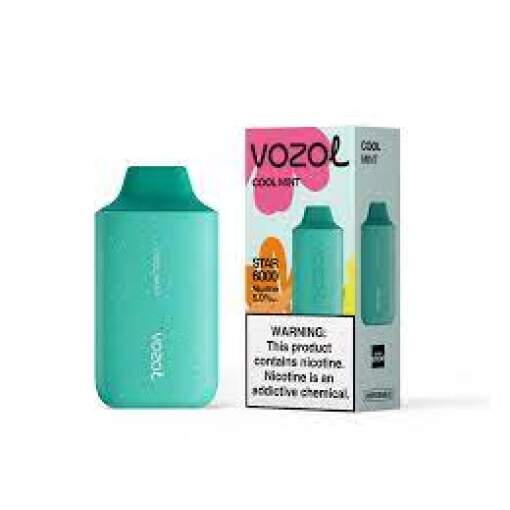 Vozol star 6000 puff disposable - cool mint - ( rechargeable )