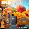 Grand Bar Disposable 10000 puff - Peach Mango - ( RECHARGEABLE )