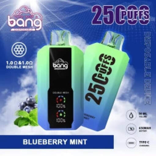 Bang disposable 25000 puff - blueberry mint - ( rechargeable )