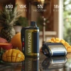 Vastfog Disposable 15000 puff - TRIPLE MANGO  - ( RECHARGEABLE ) 50 MG