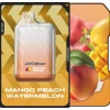 Malek El Zaman Disposable 10000 puffs - Mango peach watermelon - ( RECHARGEABLE )