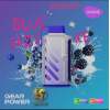 Vozol Disposable (Speical Edition) 25000 puff - Blue Razz - ( RECHARGEABLE )