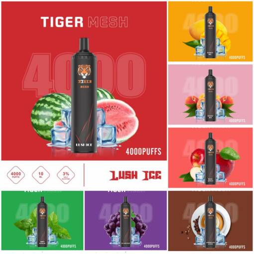 Premium TIGER Disposable Pods 4000 puff - STRAWBERRY KIWI - High-quality pod system for vaping in Egypt