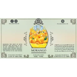 Premium DOLLAR - Morango - DL - 60ML - منتج تبخير عالي الجودة متوفر في مصر