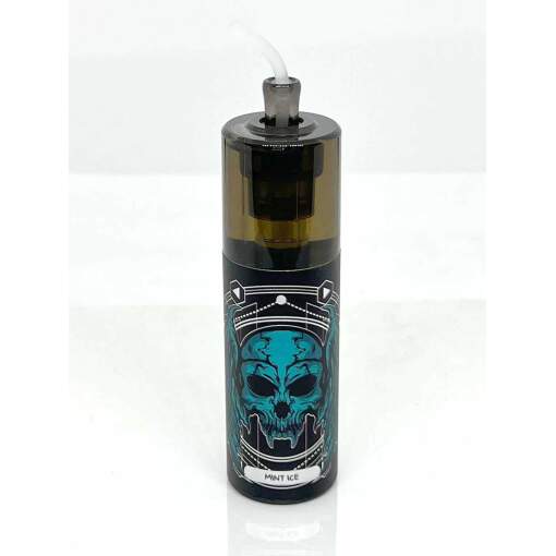 Energy disposable pods 10,000 puff - mint ice - ( rechargeable )