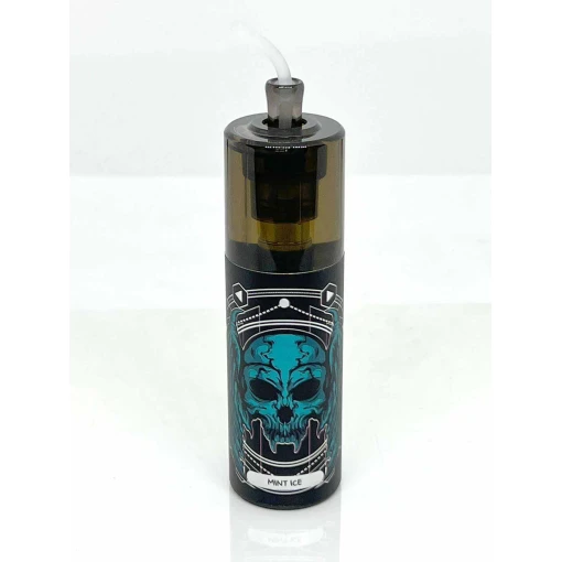 Premium energy disposable pods 10,000 puff - mint ice - ( rechargeable ) - high-quality pod system for vaping in egypt