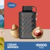 Convenient Vozol Disposable 10000 puff - Cedar Berries - ( RECHARGEABLE ) - Ready-to-use disposable vape device in Egypt
