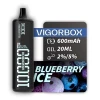 Vigor Box Disposable Pods 10000 puff - Blueberry Ice - ( RECHARGEABLE )