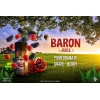 Premium Baron - ICE POMEGRANATE GRAPE BERRY - DL - 100ML - High-quality vaping product available in Egypt