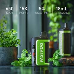 Vastfog Disposable 15000 puff - SPEAR MINT - ( RECHARGEABLE ) 50 MG