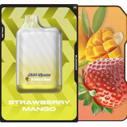 Malek El Zaman Disposable 10000 puffs - Strawberry mango - ( RECHARGEABLE )