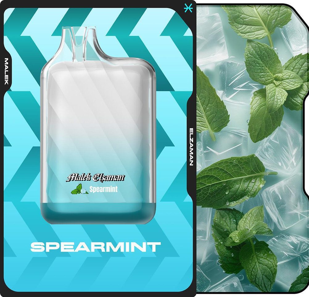 Malek El Zaman Disposable 10000 puffs - Spear Mint - ( RECHARGEABLE ) 1 Convenient Malek El Zaman Disposable 10000 puffs - Spear Mint - ( RECHARGEABLE ) - Ready-to-use disposable vape device in Egypt