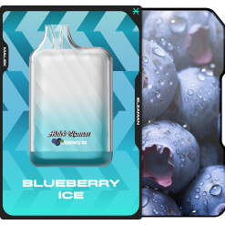 Malek El Zaman Disposable 10000 puffs - Blueberry Ice - ( RECHARGEABLE )