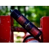 ARABESQUE - Camatillo - DL - 60ML