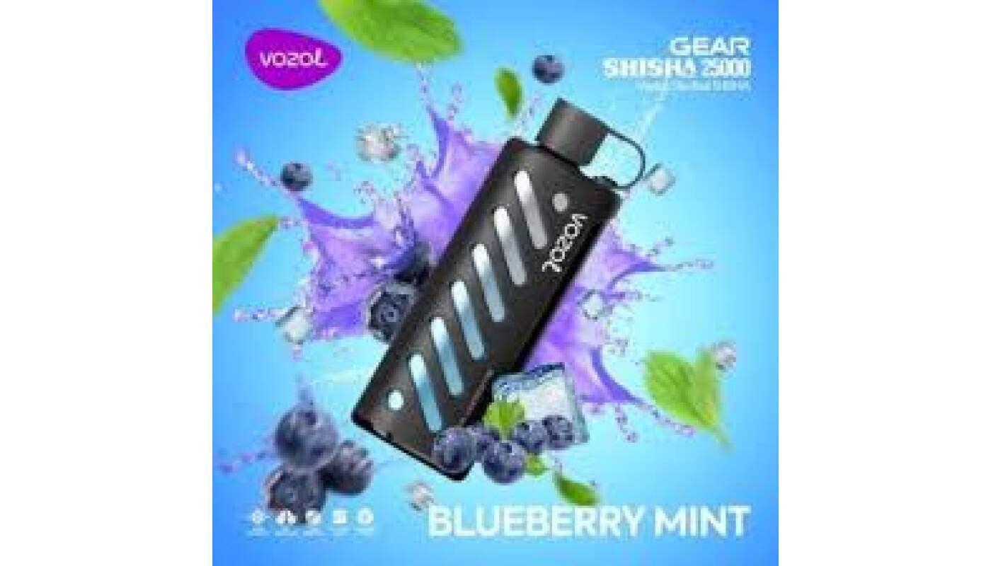 شيشة جير Vozol، ٢٥٠٠٠ سحبة - بطعم التوت والنعناع - (قابلة لإعادة التوصيل) - Beta Vape