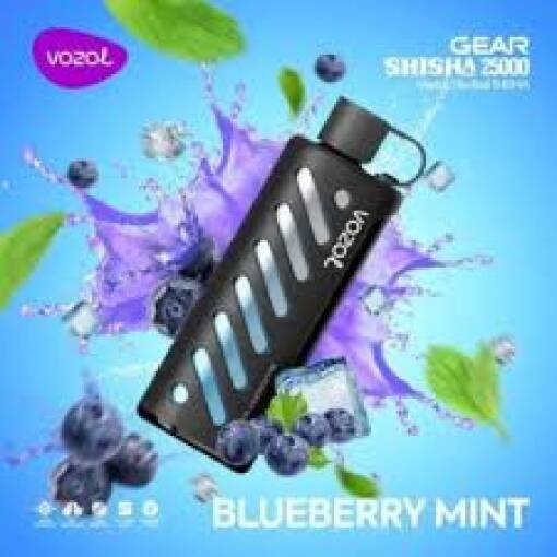 Vozol Gear Shisha 25000 Puff - BLUEBERRY MINT - ( RECHARGEABLE )