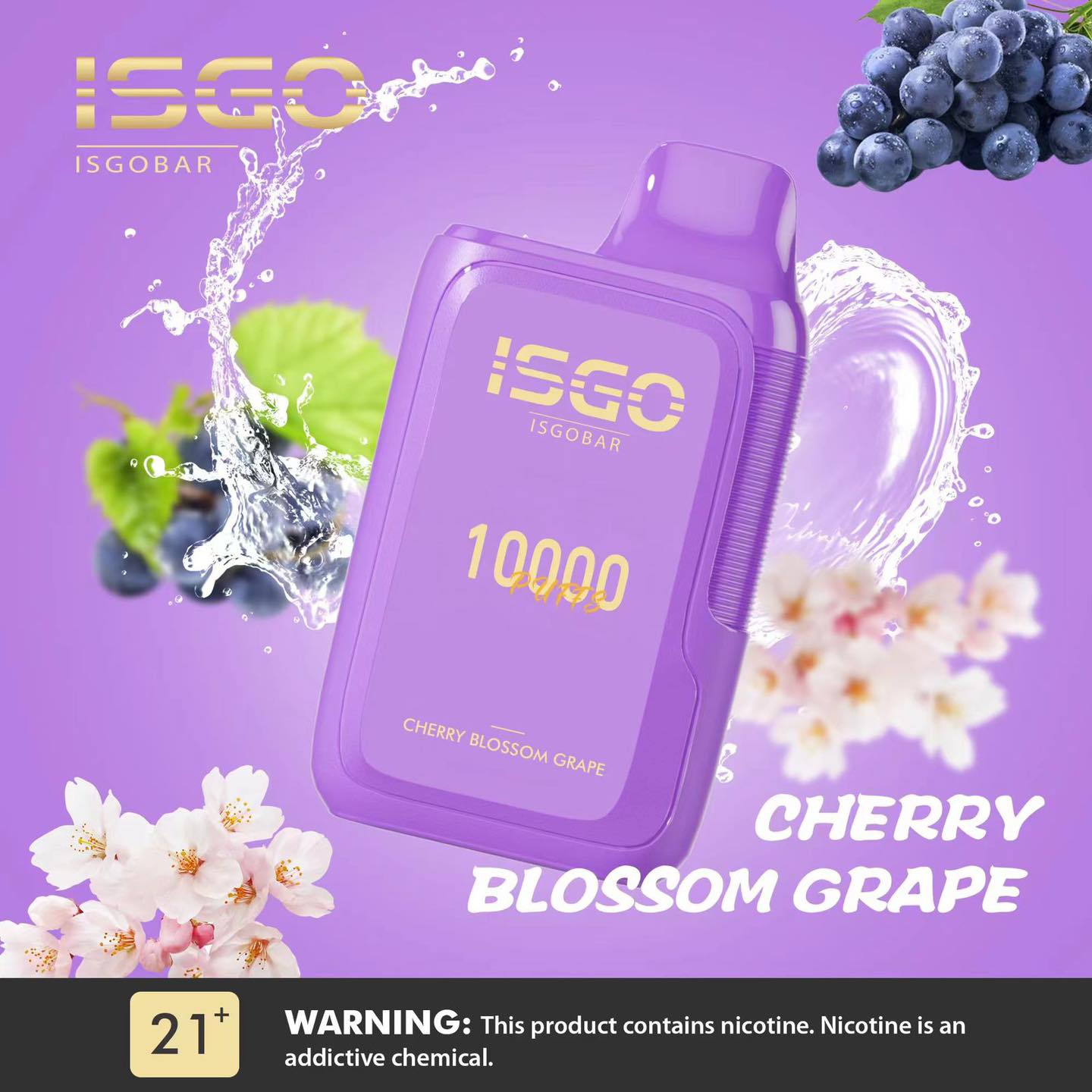 ISGO Pods 10000 نفخة للاستخدام مرة واحدة - زهر الكرز والعنب - (قابلة لإعادة الشحن)