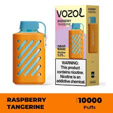 Vozol Disposable 10000 puff - Raspberry Tangerine - ( RECHARGEABLE )