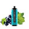 ALFAKHER CROWN BAR HyperMax Disposable 15000 puff - DTL - BLACKCURRANT MINT - ( RECHAGEABLE )