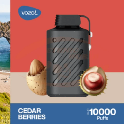 Vozol Disposable 10000 puff - Cedar Berries - ( RECHARGEABLE )