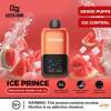 GEEK BAR ICE PRINCE - WATERMELON BUBBLEGUM ICE - 50000 PUFFS - ( RECHARGEABLE )