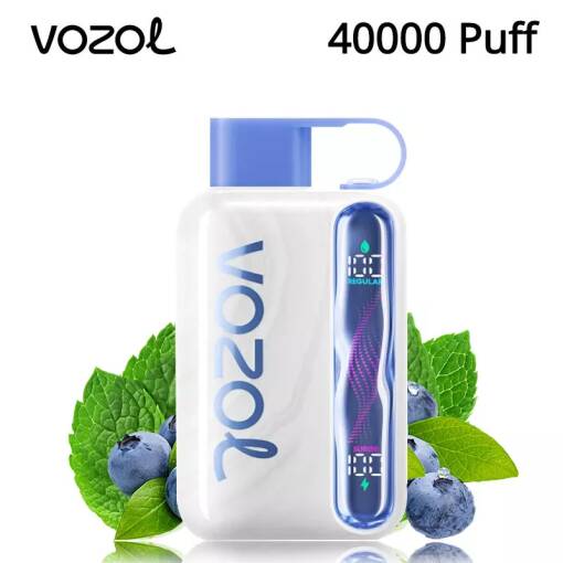 Vozol  Disposable Star 40000 puff - BLUEBERRY MINT - ( RECHARGEABLE )