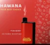 HAWANA PATRONE BAR Disposable 6500 puff - POM BERRY - ( RECHARGEABLE ) 50 MG