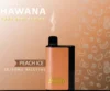 HAWANA PATRONE BAR 6500 سحبة للاستخدام مرة واحدة - طعم الخوخ والآيس - (قابلة لإعادة التوصيل) 50 ملغ