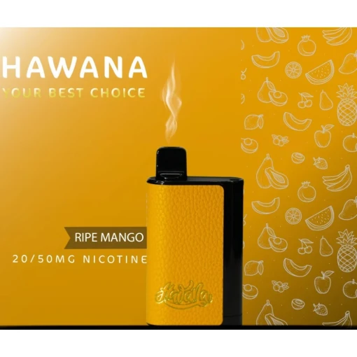 HAWANA PATRONE BAR 6500 سحبة للاستخدام مرة واحدة - RIPE MANGO - (قابلة لإعادة التوصيل) 50 ملغ