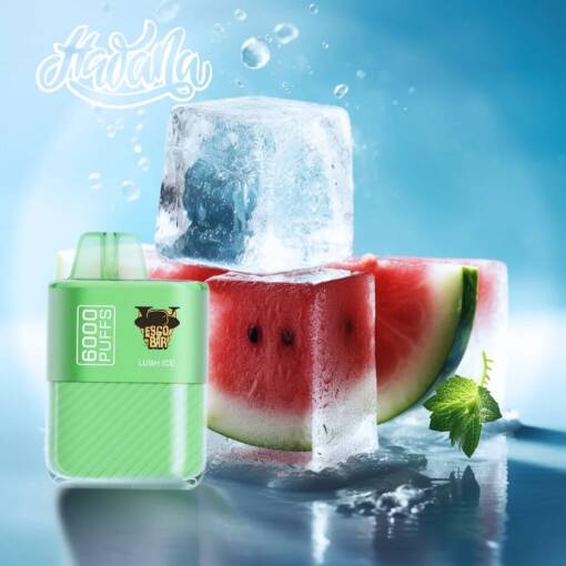 HAWANA ESCO BAR Disposable 6000 puff - LUSH ICE - ( RECHARGEABLE ) 50 MG 1 HAWANA ESCO BAR Disposable 6000 puff - LUSH ICE - ( RECHARGEABLE ) 50 MG