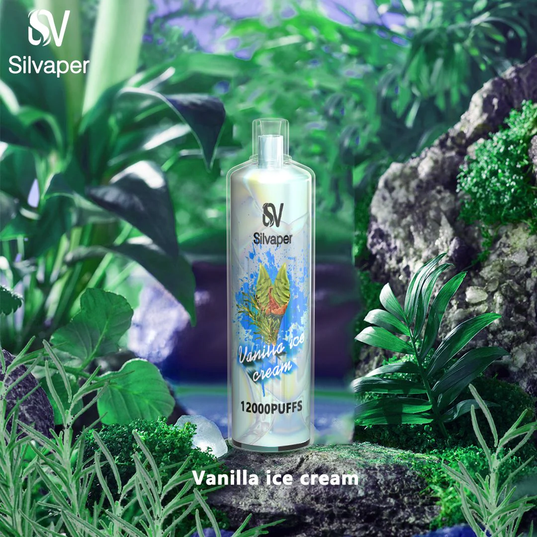 Silvaper DL للاستخدام مرة واحدة 12000 - آيس كريم فانيليا - (قابل لإعادة التوصيل) 3 ملغ 1 Silvaper DL للاستخدام مرة واحدة 12000 - آيس كريم فانيليا - (قابل لإعادة التوصيل) 3 ملغ