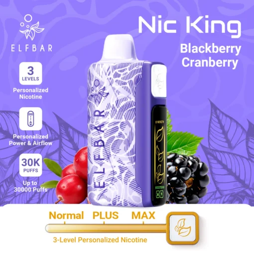 ELFBAR NIC KING 30000 puff - BLACKBERRY CRANBERRY - ( RECHARGEABLE )