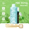 ELFBAR NIC KING 30000 puff - MIAMI MINT - ( RECHARGEABLE )