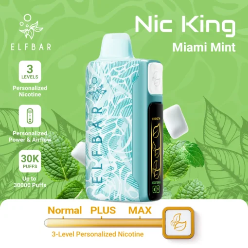ELFBAR NIC KING 30000 puff - MIAMI MINT - ( RECHARGEABLE )