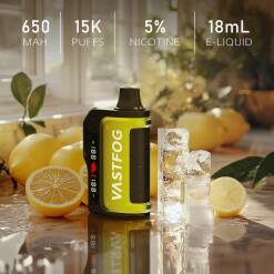 Vastfog Disposable 15000 puff - PINK LEMONADE  - ( RECHARGEABLE ) 50 MG