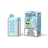 Vozol  Disposable Vista 40000 puff - Blue Razz Ice - ( RECHARGEABLE )