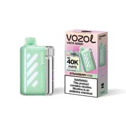 Vozol  Disposable Vista 40000 puff - Strawberry Kiwi - ( RECHARGEABLE )