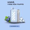 Vozol  Disposable Vista 40000 puff - BLUEBERRY ICE - ( RECHARGEABLE )
