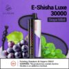 ELFBAR E-Shisha Luxe - GRAPE MINT - 30000 PUFFS