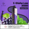 ELFBAR E-Shisha Luxe - GRAPE MINT - 30000 PUFFS