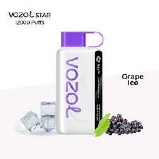 Vozol Star 12000 PUFF Disposable - Grape Ice - ( RECHARGEABLE ) Beta Vape